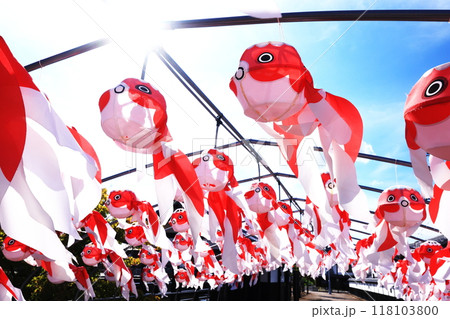 柳井　金魚ちょうちん祭り2695 118103800