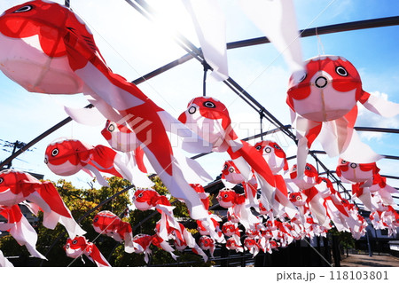 柳井　金魚ちょうちん祭り2696 118103801