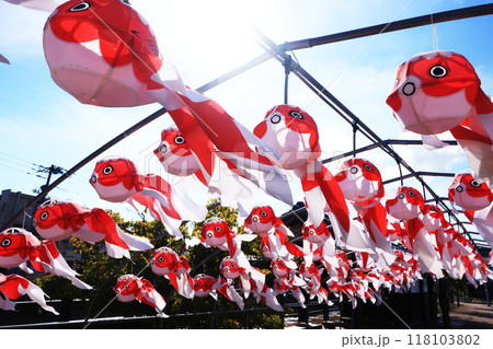 柳井 金魚ちょうちん祭り2697 柳井 金魚ちょうちん祭り2697 118103802