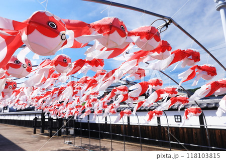 柳井 金魚ちょうちん祭り2724 柳井 金魚ちょうちん祭り2724 118103815
