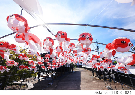 柳井 金魚ちょうちん祭り2735 柳井 金魚ちょうちん祭り2735 118103824
