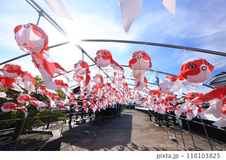 柳井　金魚ちょうちん祭り2739 118103825