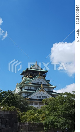 晴れた日の天守閣 晴れた日の天守閣 118103844