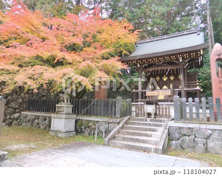 今宮神社　秋の紅葉と織姫社 118104027