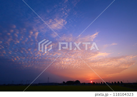 朝焼け 118104323