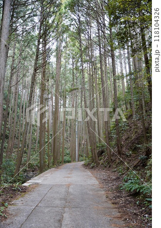 林道のある風景 林道のある風景 118104326