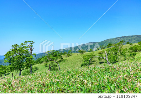 爽快 北海道 藻琴山展望台 118105847