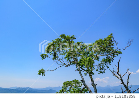爽快 北海道 藻琴山展望台 爽快 北海道 藻琴山展望台 118105859