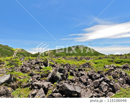 八ヶ岳坪庭自然園の溶岩台地と夏の風景 118106046