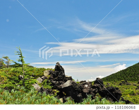 夏の北八ヶ岳坪庭自然園の溶岩台地 118106068