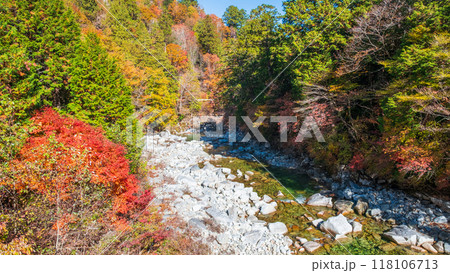赤沢渓谷（秋） 118106713