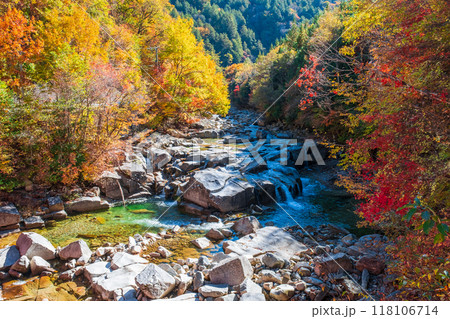 赤沢渓谷(秋) 赤沢渓谷(秋) 118106714