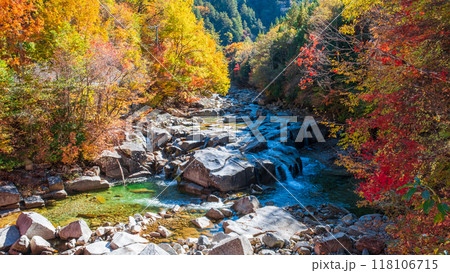 赤沢渓谷（秋） 118106715