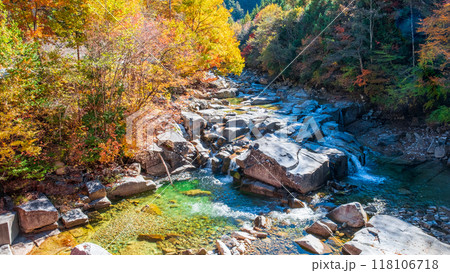 赤沢渓谷（秋） 118106718