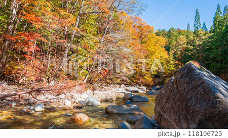 赤沢渓谷(秋) 赤沢渓谷(秋) 118106723
