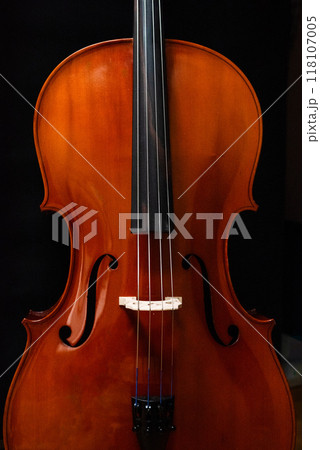チェロ 118107005