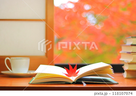 読書の秋(イメージ) 読書の秋(イメージ) 118107074