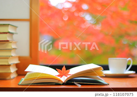 読書の秋(イメージ) 読書の秋(イメージ) 118107075