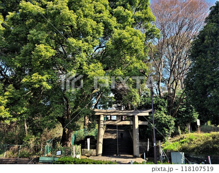 上野東照宮階段 上野東照宮階段 118107519