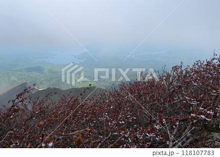 磐梯山登山、会津、福島県 磐梯山登山、会津、福島県 118107783