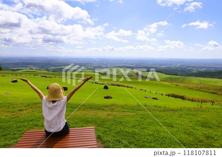 夏の北海道、ナイタイテラス、十勝平野、牧草地、日本一広い牧場、はてしない大空、ナイタイ牧場、八月 118107811