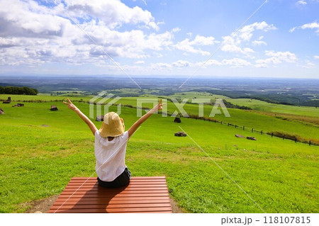 夏の北海道、ナイタイテラス、十勝平野、牧草地、日本一広い牧場、はてしない大空、ナイタイ牧場、八月 118107815