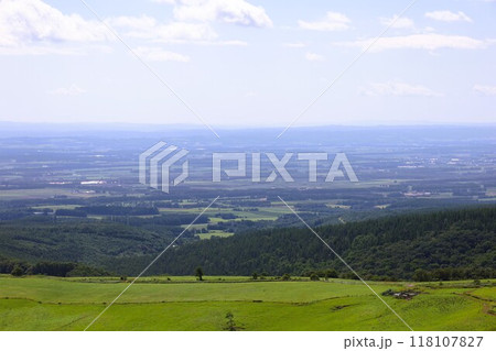 夏の北海道、ナイタイテラス、十勝平野、牧草地、日本一広い牧場、はてしない大空、ナイタイ牧場、八月 夏の北海道、ナイタイテラス、十勝平野、牧草地、日本一広い牧場、はてしない大空、ナイタイ牧場、八月 118107827