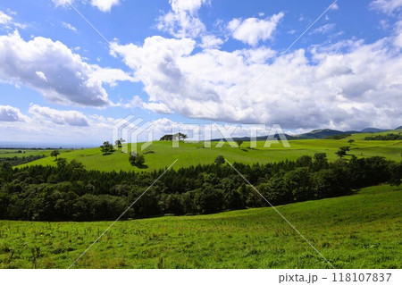 夏の北海道、ナイタイテラス、十勝平野、牧草地、日本一広い牧場、はてしない大空、ナイタイ牧場、八月 夏の北海道、ナイタイテラス、十勝平野、牧草地、日本一広い牧場、はてしない大空、ナイタイ牧場、八月 118107837