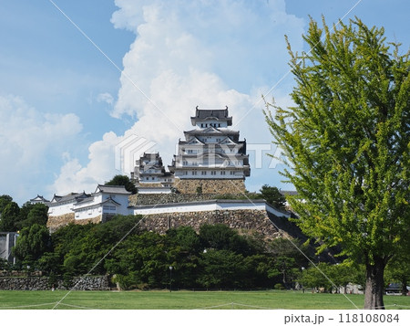 国宝姫路城 118108084