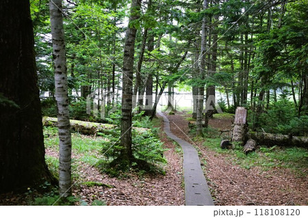 夏の北海道、オンネトー野営場、キャンプ場、ソロキャンプ、湖畔にたたずむキャンプ場、静寂の湖、朝霧を 118108120