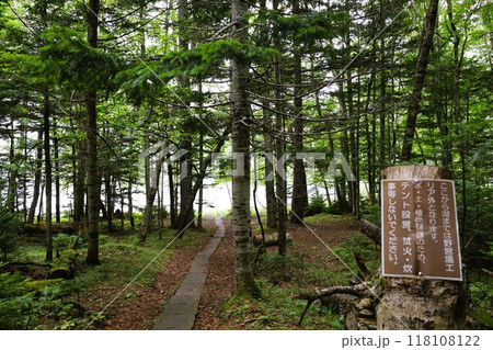 夏の北海道、オンネトー野営場、キャンプ場、ソロキャンプ、湖畔にたたずむキャンプ場、静寂の湖、朝霧を 夏の北海道、オンネトー野営場、キャンプ場、ソロキャンプ、湖畔にたたずむキャンプ場、静寂の湖、朝霧を 118108122