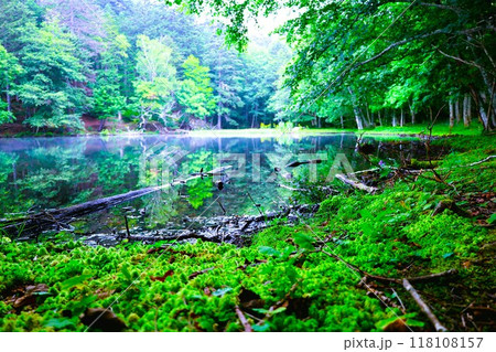 夏の北海道、オンネトー野営場、キャンプ場、ソロキャンプ、湖畔にたたずむキャンプ場、静寂の湖、朝霧を 夏の北海道、オンネトー野営場、キャンプ場、ソロキャンプ、湖畔にたたずむキャンプ場、静寂の湖、朝霧を 118108157