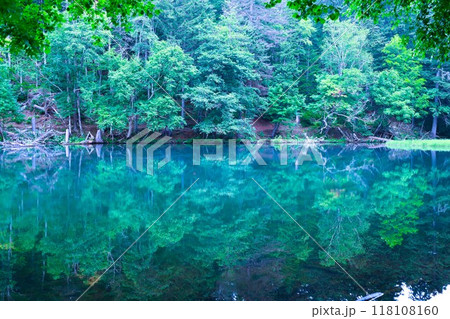 夏の北海道、オンネトー野営場、キャンプ場、ソロキャンプ、湖畔にたたずむキャンプ場、静寂の湖、朝霧を 夏の北海道、オンネトー野営場、キャンプ場、ソロキャンプ、湖畔にたたずむキャンプ場、静寂の湖、朝霧を 118108160