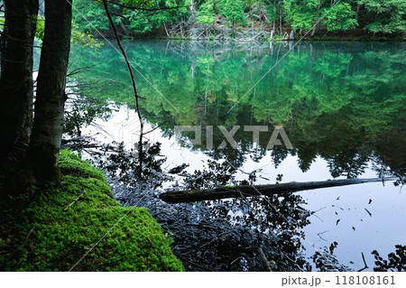 夏の北海道、オンネトー野営場、キャンプ場、ソロキャンプ、湖畔にたたずむキャンプ場、静寂の湖、朝霧を 夏の北海道、オンネトー野営場、キャンプ場、ソロキャンプ、湖畔にたたずむキャンプ場、静寂の湖、朝霧を 118108161