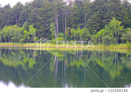 夏の北海道、オンネトー野営場、キャンプ場、ソロキャンプ、湖畔にたたずむキャンプ場、静寂の湖、朝霧を 夏の北海道、オンネトー野営場、キャンプ場、ソロキャンプ、湖畔にたたずむキャンプ場、静寂の湖、朝霧を 118108188