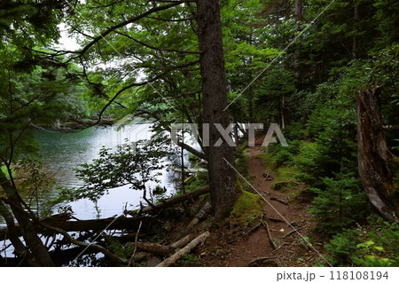 夏の北海道、オンネトー野営場、キャンプ場、ソロキャンプ、湖畔にたたずむキャンプ場、静寂の湖、朝霧を 夏の北海道、オンネトー野営場、キャンプ場、ソロキャンプ、湖畔にたたずむキャンプ場、静寂の湖、朝霧を 118108194
