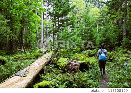 夏の北海道、オンネトー野営場、キャンプ場、ソロキャンプ、湖畔にたたずむキャンプ場、静寂の湖、朝霧を 夏の北海道、オンネトー野営場、キャンプ場、ソロキャンプ、湖畔にたたずむキャンプ場、静寂の湖、朝霧を 118108199