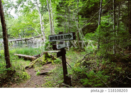 夏の北海道、オンネトー野営場、キャンプ場、ソロキャンプ、湖畔にたたずむキャンプ場、静寂の湖、朝霧を 118108203