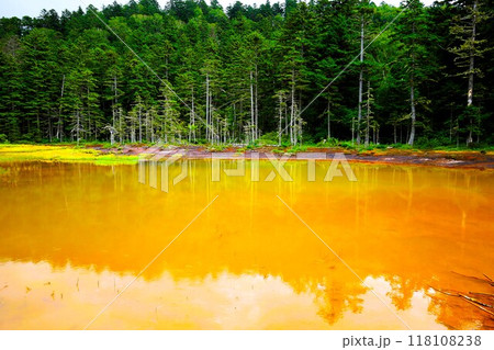 夏の北海道、オンネトー野営場、キャンプ場、ソロキャンプ、湖畔にたたずむキャンプ場、静寂の湖、朝霧を 夏の北海道、オンネトー野営場、キャンプ場、ソロキャンプ、湖畔にたたずむキャンプ場、静寂の湖、朝霧を 118108238
