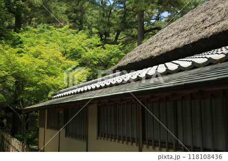 芒種の栗林公園(6月中旬) 芒種の栗林公園(6月中旬) 118108436