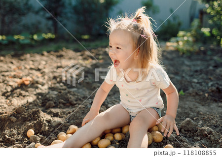 Happy child girl smiling and sitting on potatoes in the garden Happy child girl smiling and sitting on potatoes in the garden 118108855