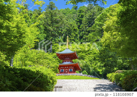 勝尾寺　石段から見える多宝塔 118108907