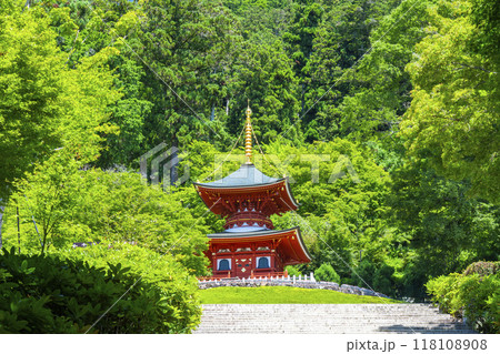 勝尾寺　石段から見える多宝塔 118108908