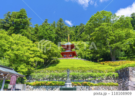 夏の勝尾寺 観音菩薩と多宝塔 夏の勝尾寺 観音菩薩と多宝塔 118108909