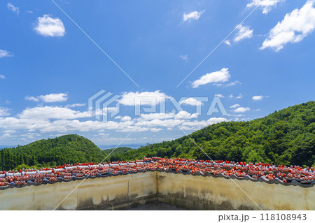 勝尾寺 境内のあちこちに置かれたちいさなダルマ 勝尾寺 境内のあちこちに置かれたちいさなダルマ 118108943