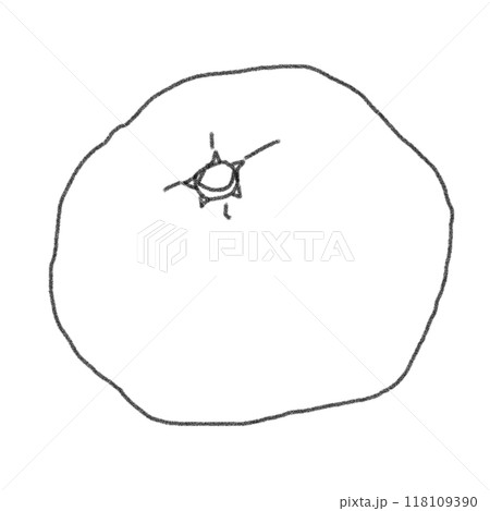 鉛筆画風のみかんの線画イラスト 118109390