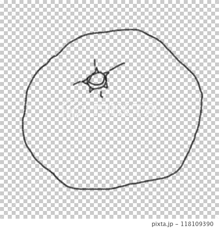 鉛筆画風のみかんの線画イラスト 118109390
