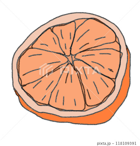 鉛筆画風のみかんのカラーイラスト 118109391