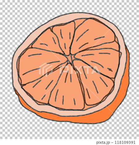 Color illustration of a mandarin orange in pencil drawing style 118109391