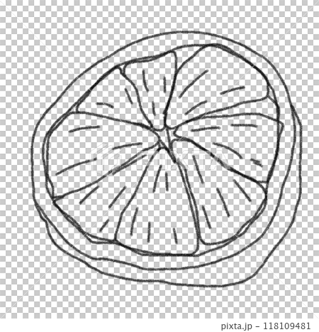 鉛筆畫風格橘子的線條畫插圖 118109481